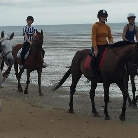 Decouverte D'Un Haras Proche Du Mont St Michel Hambye Eksteriør bilde