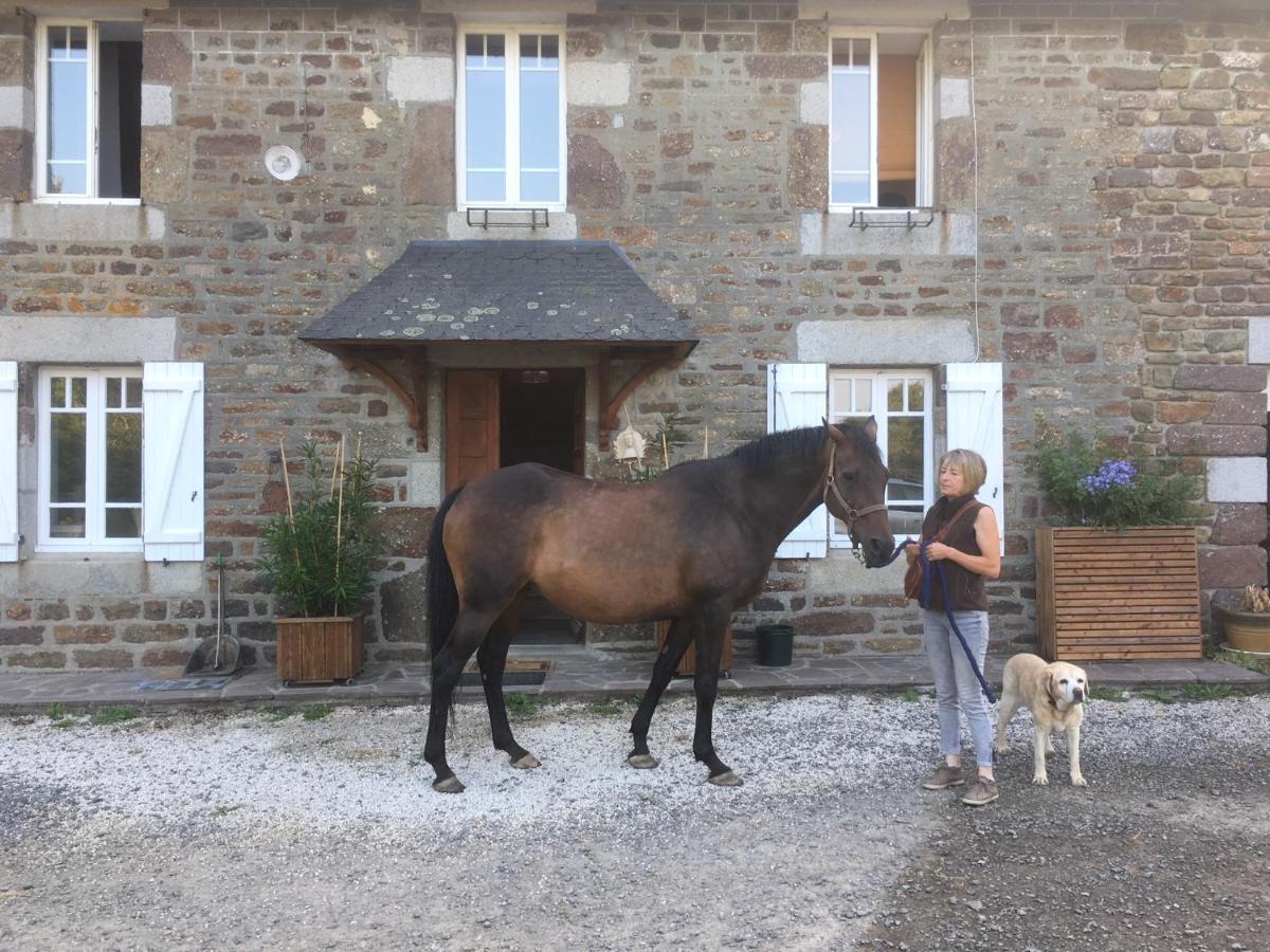 Decouverte D'Un Haras Proche Du Mont St Michel Hambye Eksteriør bilde
