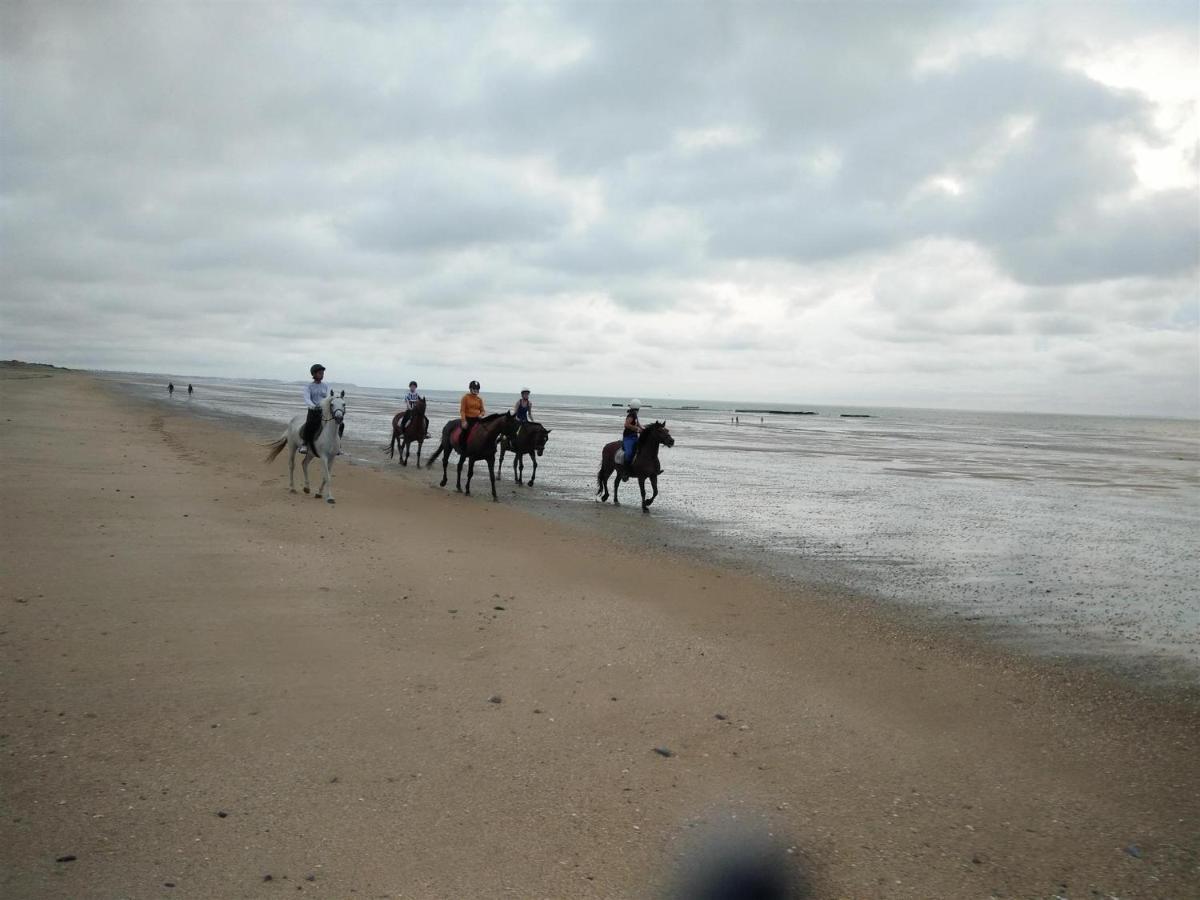 Decouverte D'Un Haras Proche Du Mont St Michel Hambye Eksteriør bilde