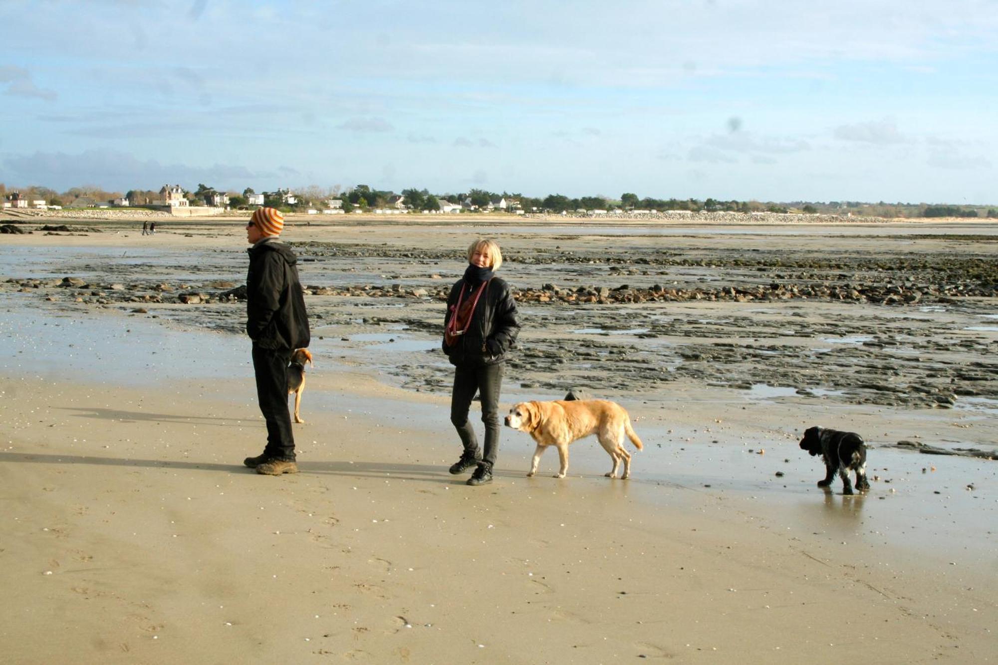 Decouverte D'Un Haras Proche Du Mont St Michel Hambye Eksteriør bilde